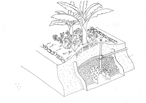 Adriana Galbiati - Galeria