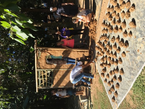 CasaTerra Soluções Ambientais - Galeria