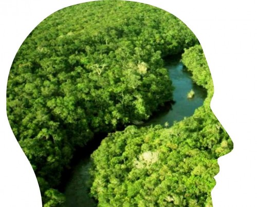 Instituto de Cooperação e Desenvolvimento AMBIENTE TOTAL - Galeria