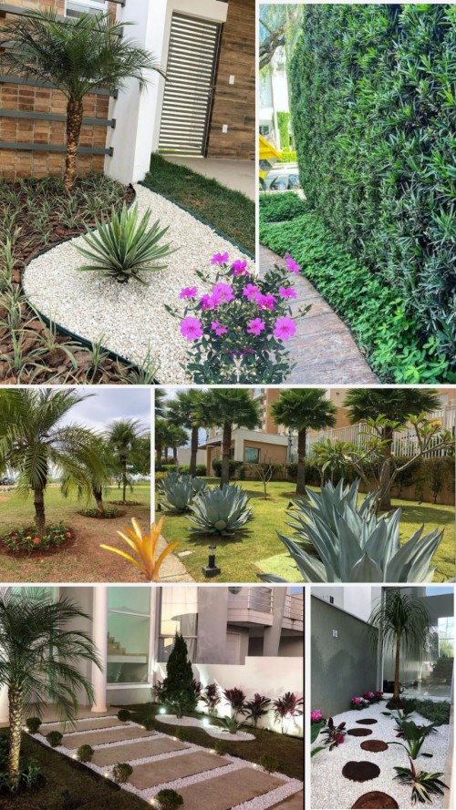 Melhor Jardim - Galeria